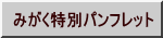 みがく特別パンフレット 
